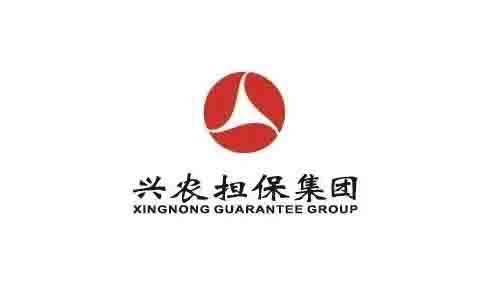 重慶興農(nóng)擔保集團